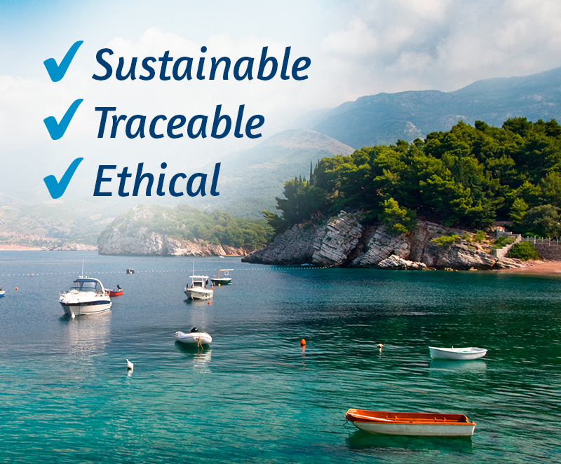 Learn more about our sustainability